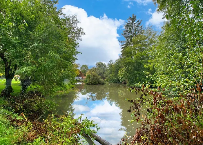 Le Martin Pecheur Varaignes